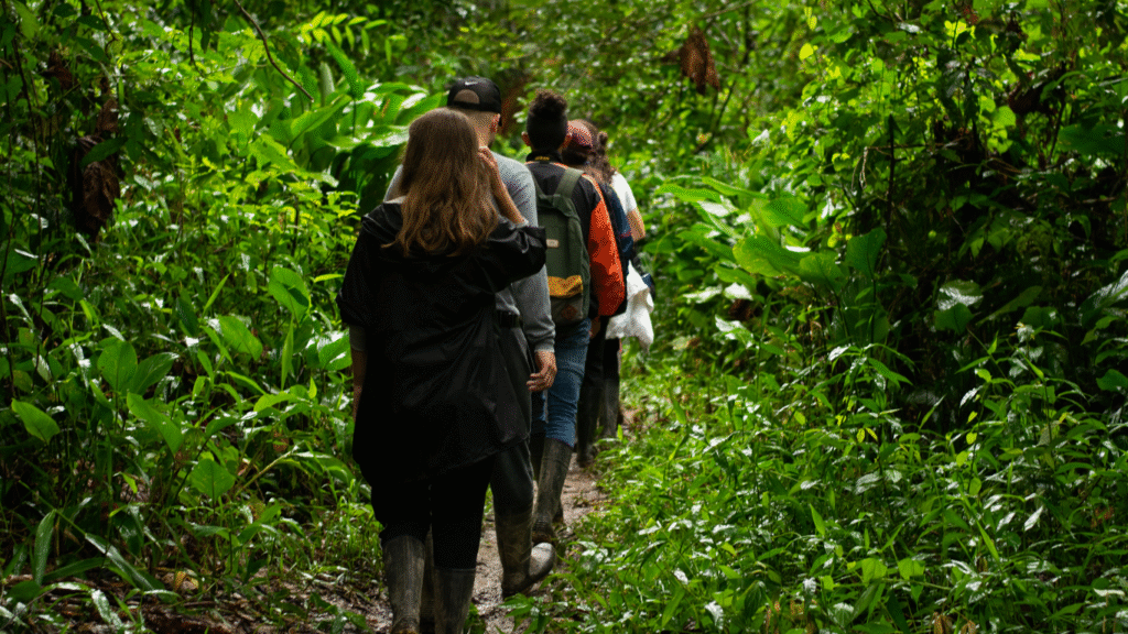 Team Building in Wilderness at One With Natur Survival School