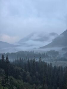 True Wilderness on Vancouver Island