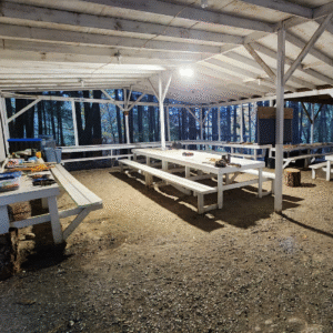 ONE WITH NATURE Survival School