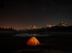 Shelter in the wilderness