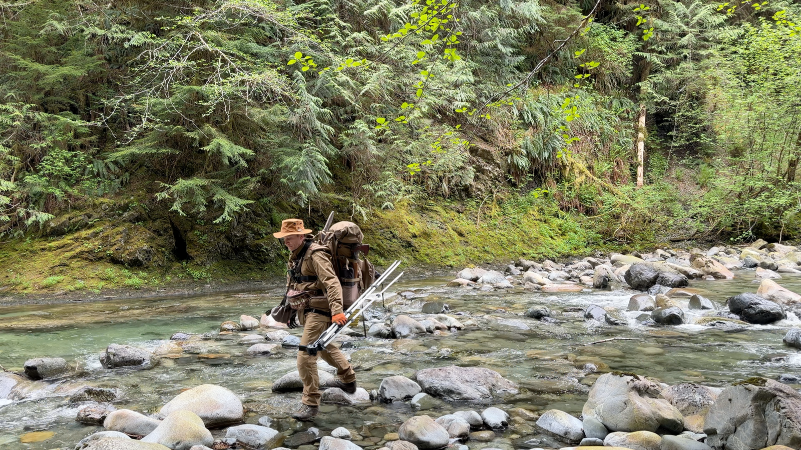 Walking in the creek