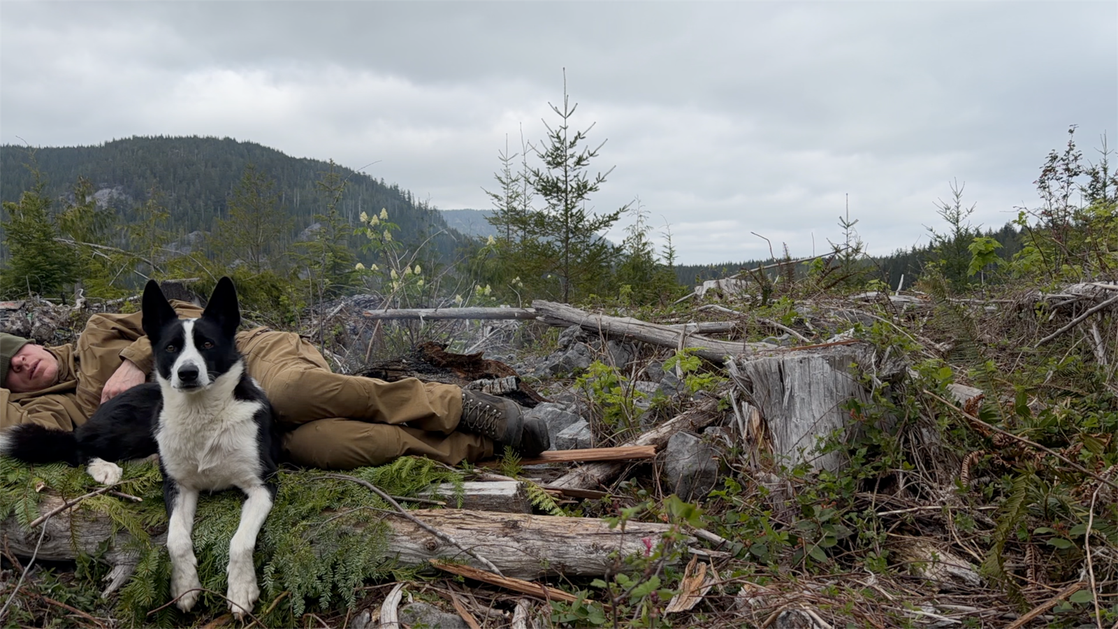 Sleeping in the Wilderness